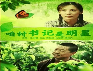 2012年咱村书记是明星 汉语普通话 中国大陆电影