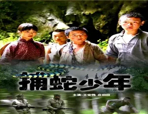 2007中国大陆高分冒险电影 捕蛇少年 汉语普通话 高清珍藏版
