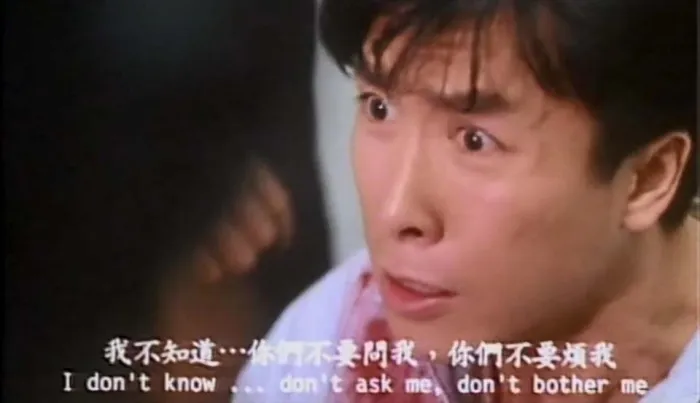 甄子丹 动作电影