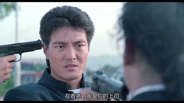 甄子丹动作电影