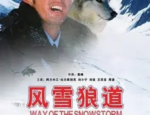 2007风雪狼道 汉语普通话 全1集1994香港电影醉生梦死之湾仔之虎 720P高清 国语粤语双语音轨中字