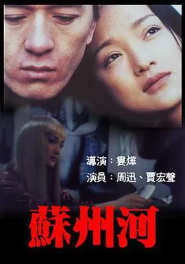 娄烨 周迅