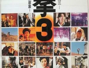 1994香港醉拳3国粤双语中字-MKV-刘德华李嘉欣季天笙郑少秋主演