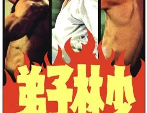 1974香港经典功夫电影《少林子弟》国语高清版