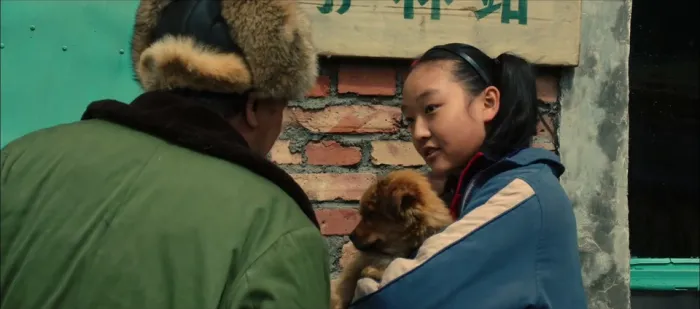 血狼犬