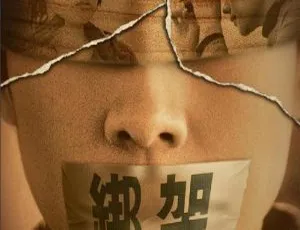 2007香港犯罪悬疑片 绑架连环局 林嘉欣刘若英张智霖郭涛主演 国语中字 WEB-DL1080P2017 太极魂之盖世无双 国语中字