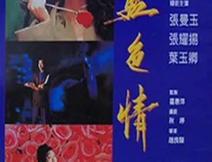 1992香港白玫瑰 国语中字 张曼玉 张耀扬 叶玉卿 姚炜主演-蓝海网