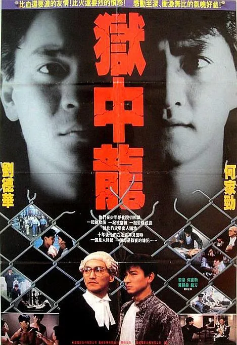 兄弟情义法律对峙