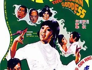1972邵氏经典仙女下凡 国语中字 720p MKV