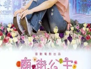 2003香港电影庙街公主 李茏怡 谢天华 罗家英 苑琼丹 韩君婷 国语中字 400M FLV 温情故事