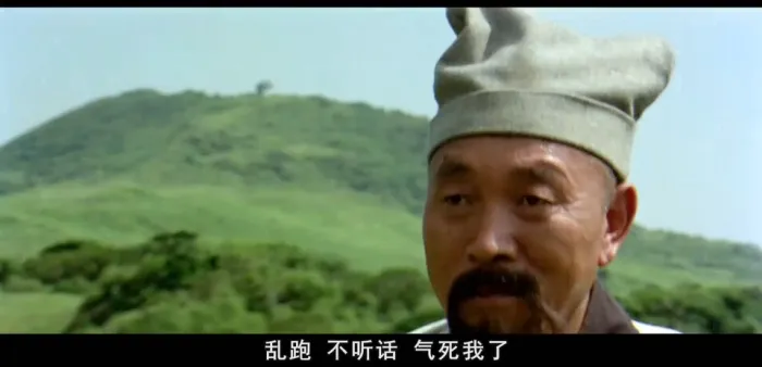 1978香港动作喜剧