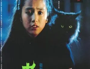 1991香港经典老猫 国语无字幕 MKV高清