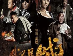我不是贼 2014年中国大陆电影 国语中字 高清完整版