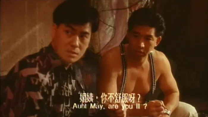 鸭之一族 1993 香港电影