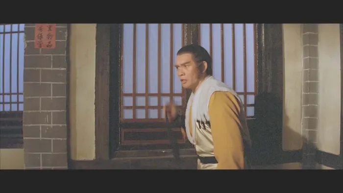 洪拳大师