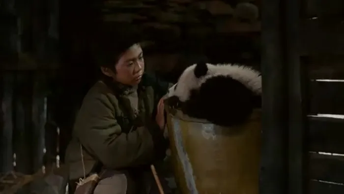 熊猫回家路