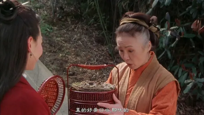 张柏芝 吴镇宇