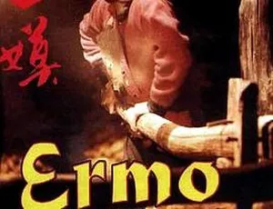 1994中国电影二嫫 Ermo 国语无字幕 MKV高清-蓝海网