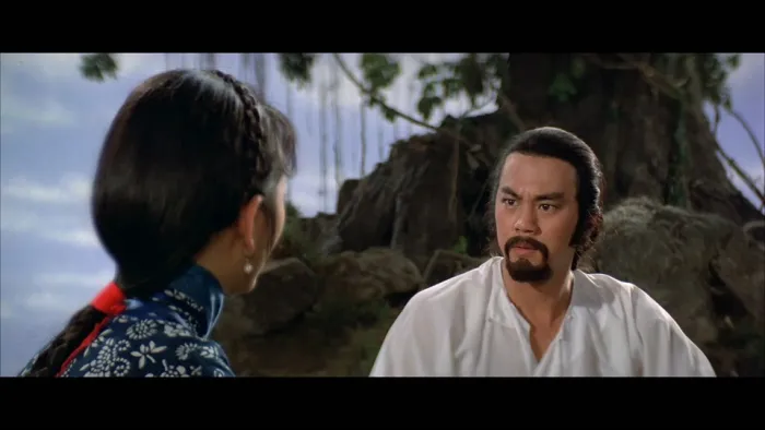 1979邵氏动作片