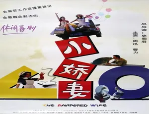 小娇妻 1996国语高清完整版 | 怀旧经典影视珍藏版-蓝海网