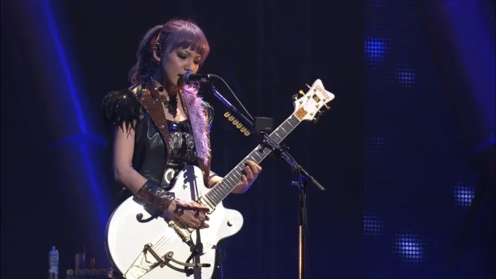 SCANDAL 2013大阪城演唱会