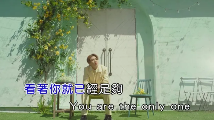 2019国语流行专辑