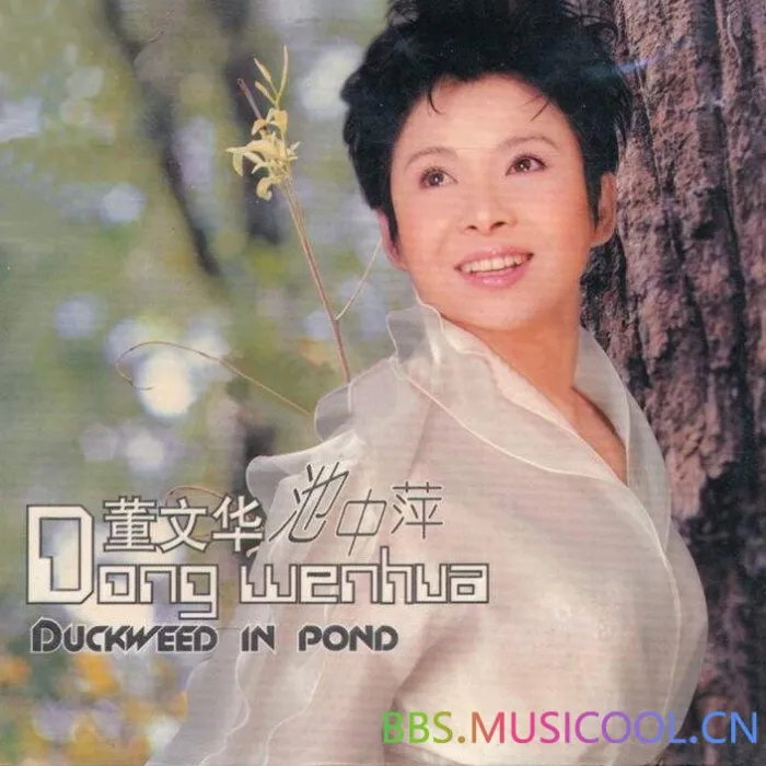 董文华无损音质