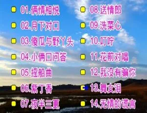 庄学忠情歌对唱精选 花仙子KTV高清原版 经典情歌收藏 双碟卡拉OK