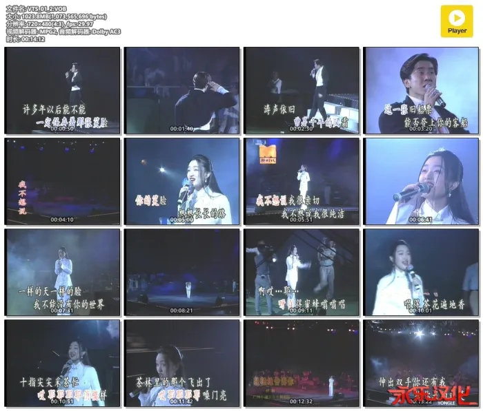 毛宁 杨钰莹1993上海演唱会