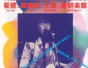 1993柏林中国摇滚演唱会DVD 经典现场珍藏版