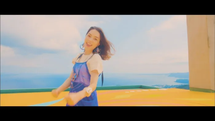 Flac BDISO无损音质