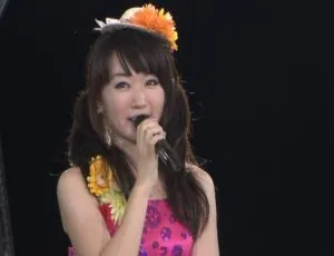 水树奈奈2009钻石狂热演唱会 Blu-ray三碟 138GB高清现场