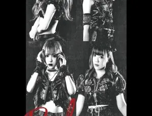 LADYBABY 2020 Liquidroom 最终演唱会 DVD现场高清收藏版