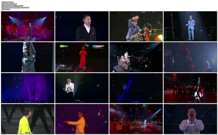 刘德华跨年演唱会2010
