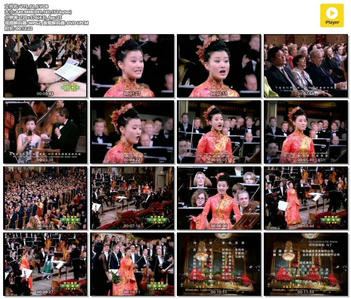 维也纳金色大厅中国民族音乐