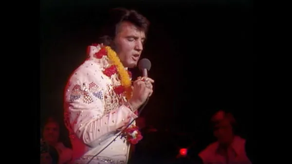 猫王Elvis