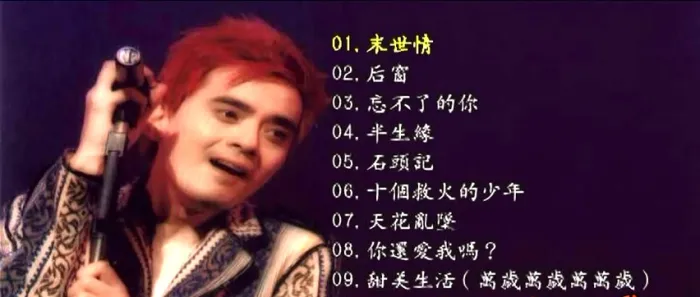 DVD现场实录
