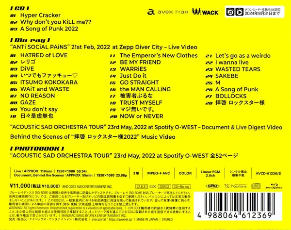 Zepp Diver City BDISO