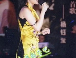 杨钰莹2002北京演唱会DVD高清完整版-蓝海网