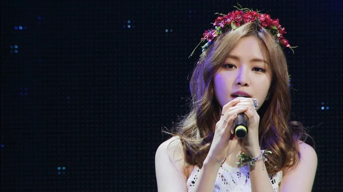 Apink 日本巡回演唱会2015