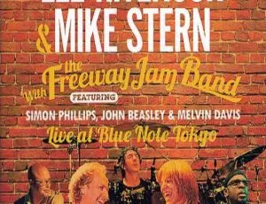 Lee Ritenour & Mike Stern 2011东京Blue Note超清演唱会蓝光珍藏-蓝海网