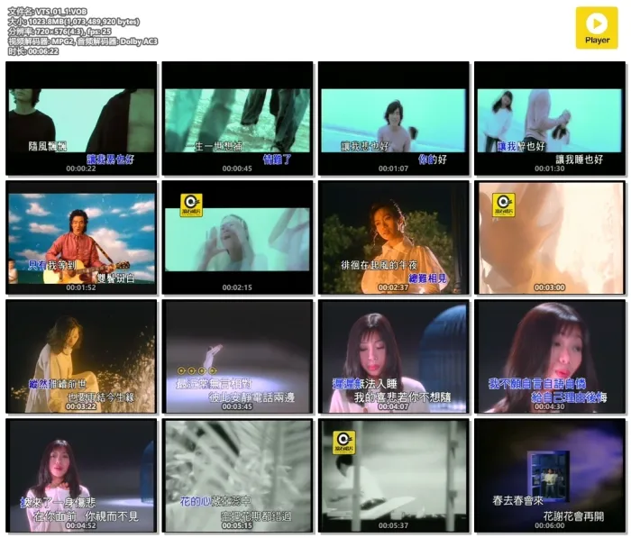 DVD专辑版权保护