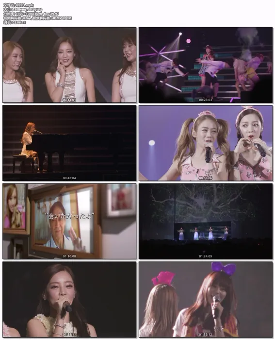 KARA 2014横滨演唱会