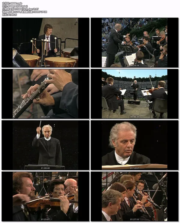 Daniel Barenboim John Williams