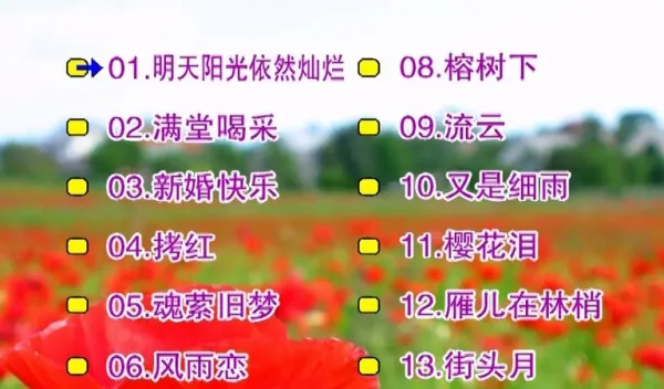 2DVD珍藏版