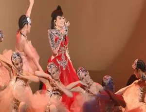 江蕙镜花水月2013台湾演唱会 蓝光高清现场完整版