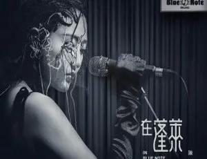 陈粒蓬莱Blue Note北京2017蓝光演唱会完整版-蓝海网