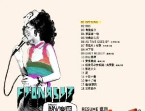 薛凯琪 2008香港演唱会 Fiona热火乐团0811超清现场完整版 演唱会DVD珍藏-蓝海网