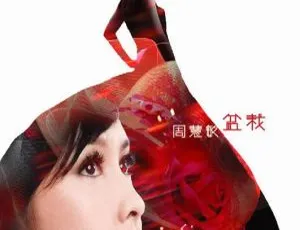 周慧敏《盆栽》音乐专辑DVD-ISO原盘