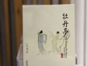 昆曲《牡丹亭》蓝光BD版 上本五代同堂、下本三地联动 2017绝美典藏 ISO双碟80G高清-蓝海网